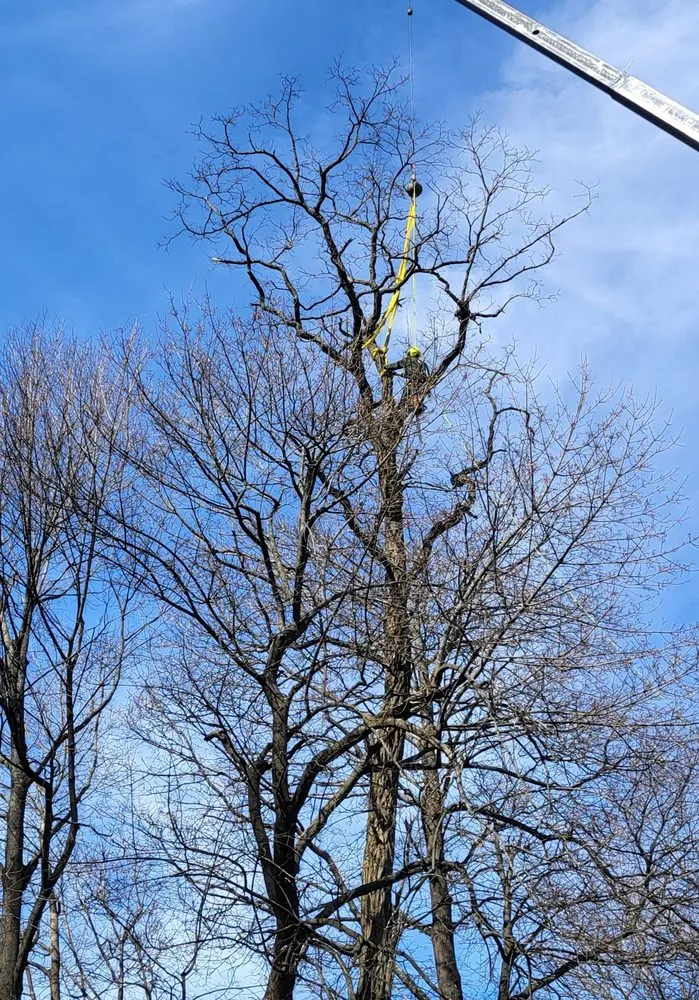 Professional lawn mowing service in Hawthorne, NY by Almstead Tree Shrub & Lawn Care