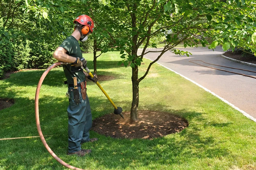 Trusted yard maintenance for year-round maintenance across Hawthorne, NY - Almstead Tree Shrub & Lawn Care