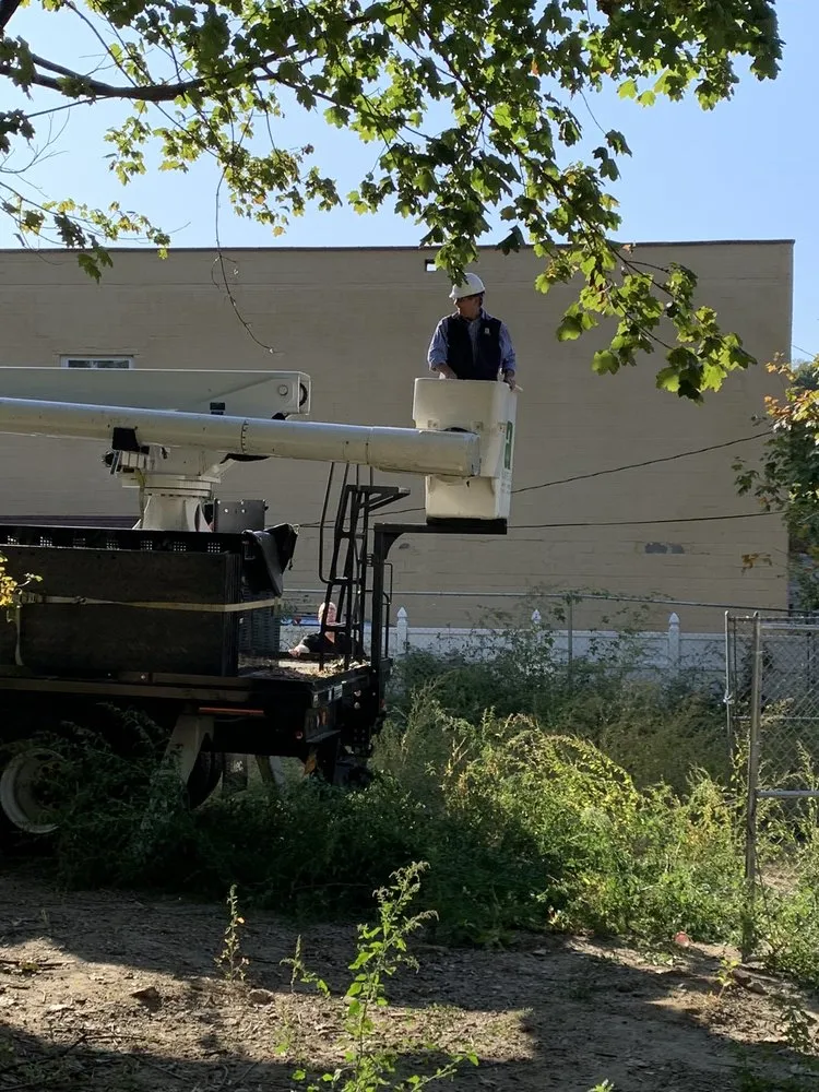 Professional yard cleanup service in Hawthorne, NY by Almstead Tree Shrub & Lawn Care