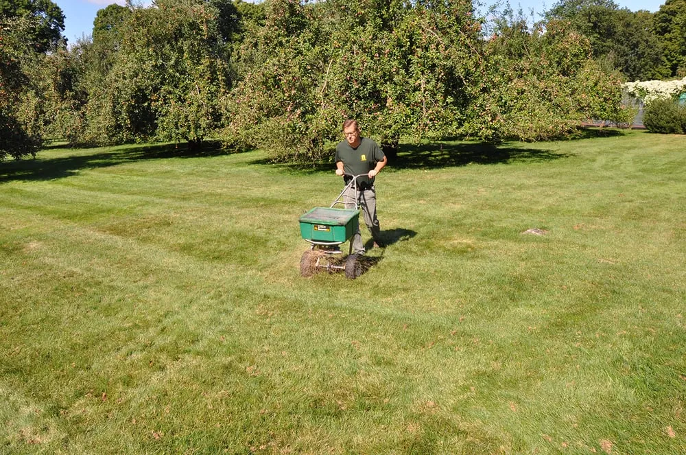 Custom yard maintenance experts serving Hawthorne, NY - Almstead Tree Shrub & Lawn Care