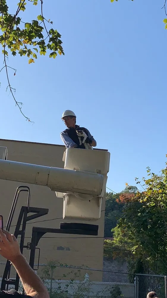 Affordable residential landscaping experts serving Hawthorne, NY - Almstead Tree Shrub & Lawn Care