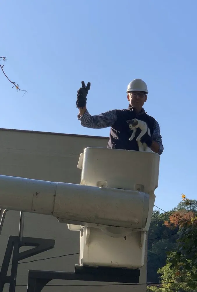 Expert lawn care service for beautiful yards across Hawthorne, NY - Almstead Tree Shrub & Lawn Care