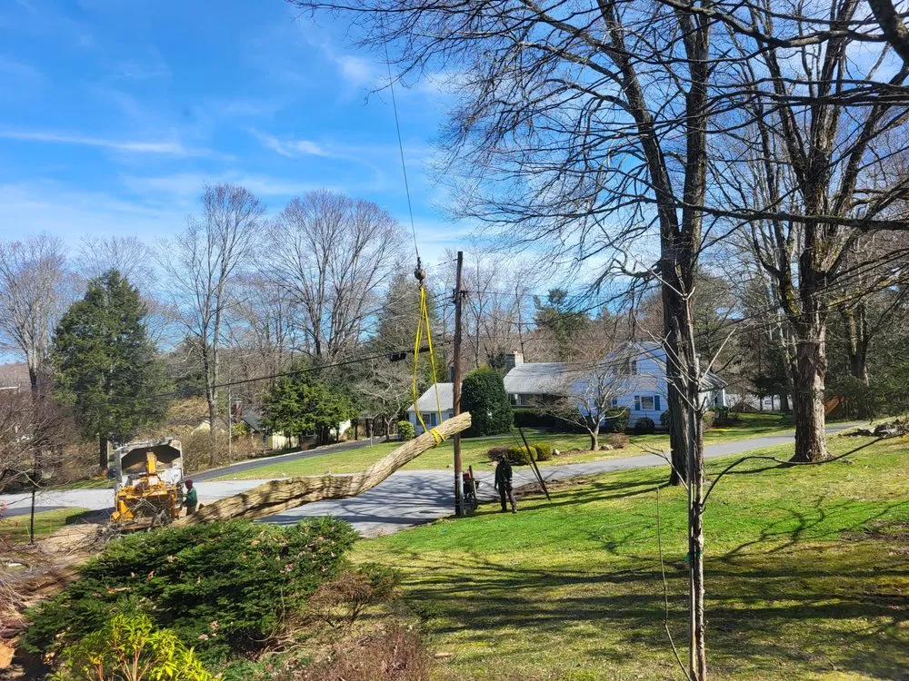 Reliable yard cleanup service in Hawthorne, NY - Almstead Tree Shrub & Lawn Care