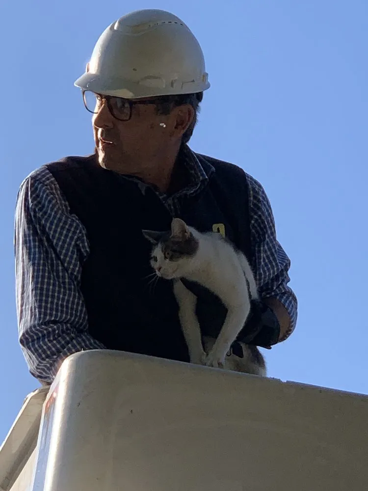 Reliable landscaping services in Hawthorne, NY by Almstead Tree Shrub & Lawn Care