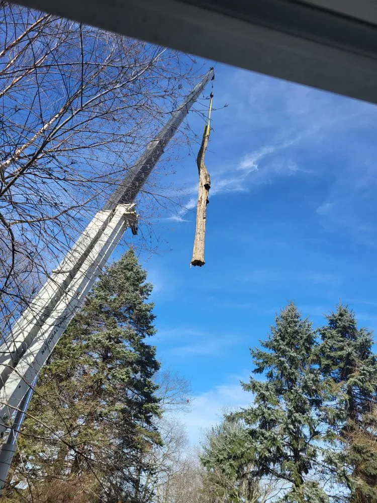 Professional landscaping services for residential properties in Hawthorne, NY by Almstead Tree Shrub & Lawn Care