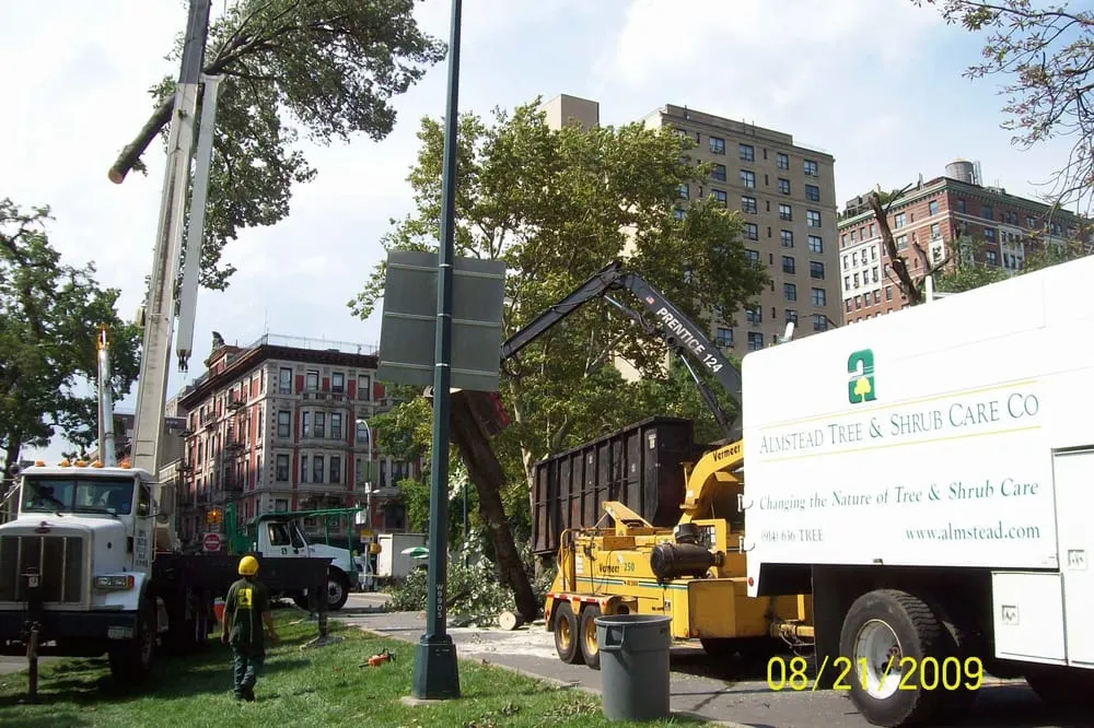Expert landscaping services in Hawthorne, NY - Almstead Tree Shrub & Lawn Care