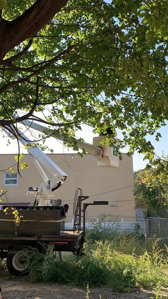 Local landscape installation for beautiful yards in Hawthorne, NY by Almstead Tree Shrub & Lawn Care