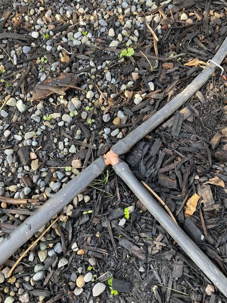 Custom lawn care service in Portland, OR by Aloes Landscape And Maintenance