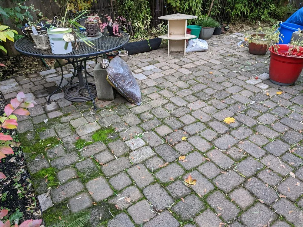 Reliable yard maintenance experts serving Portland, OR - Aloes Landscape And Maintenance