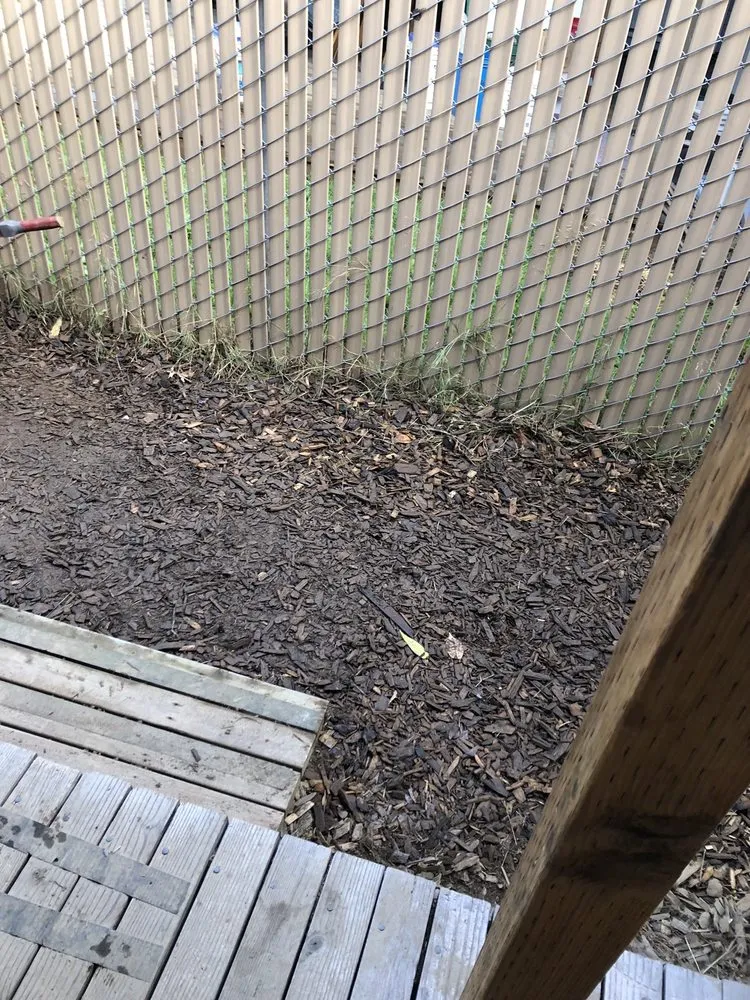 Trusted yard cleanup service experts serving Portland, OR - Aloes Landscape And Maintenance