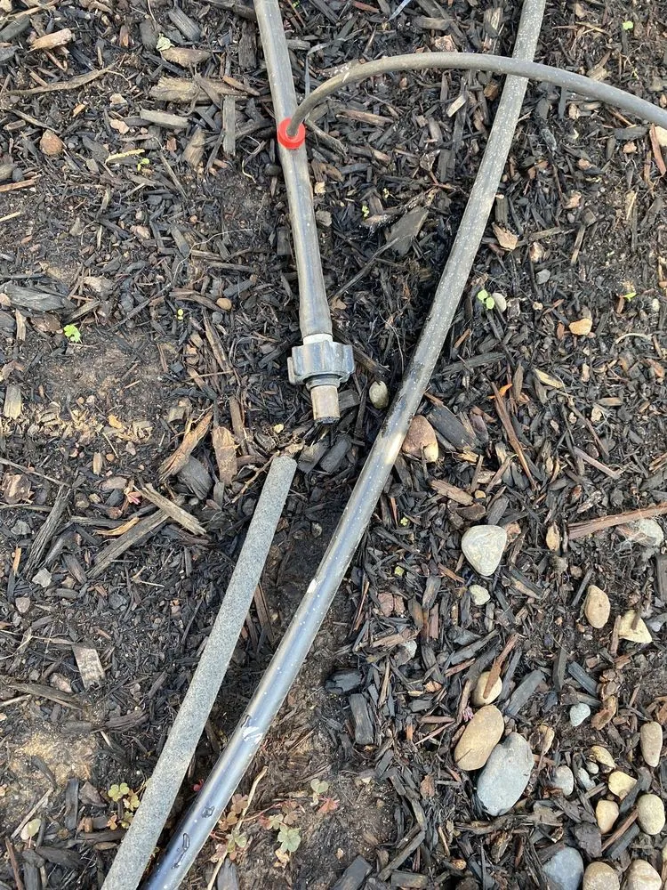 Trusted landscape installation for year-round maintenance across Portland, OR - Aloes Landscape And Maintenance