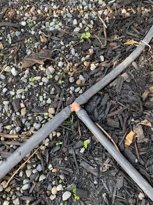 Aloes Landscape And Maintenance Logo