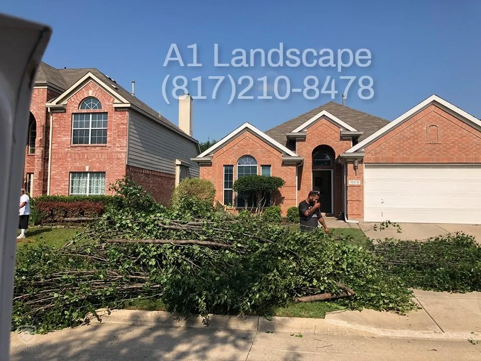 Custom outdoor landscaping for outdoor upgrades in Watauga, TX by Aloha 1 Landscape