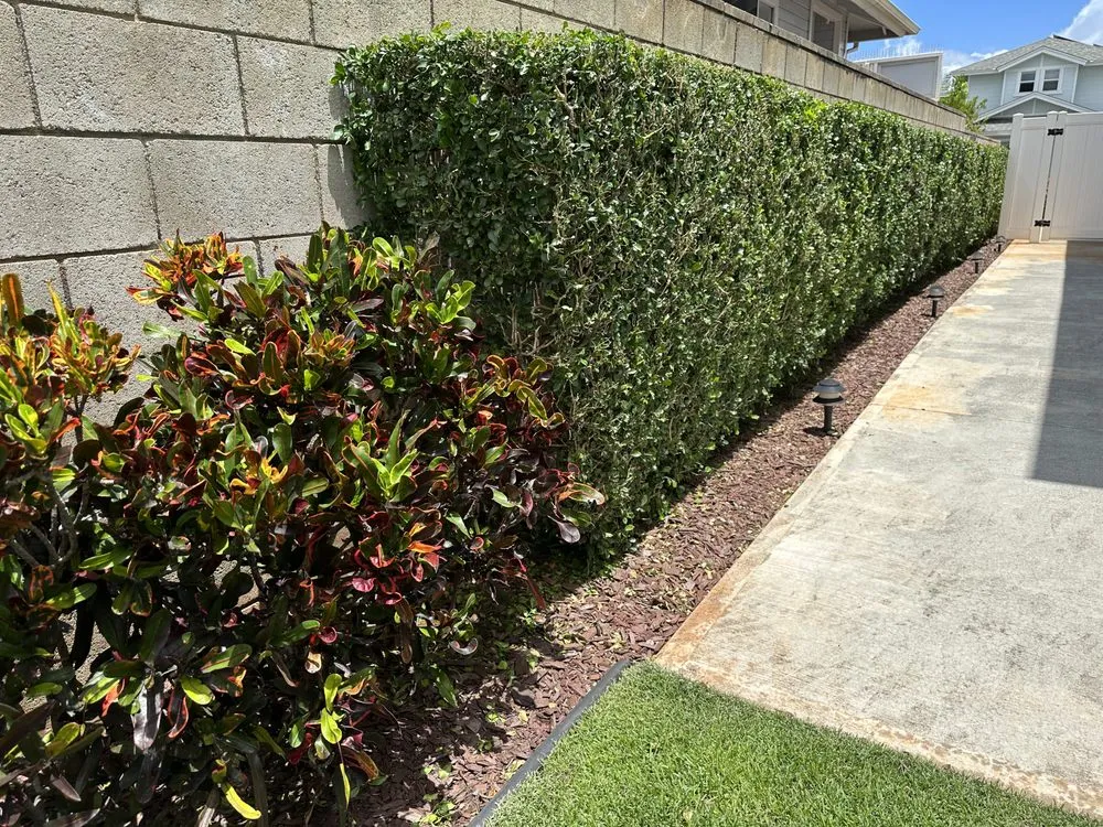 Expert lawn mowing service for homes across Waimanalo, HI - Aloha 'Aina Landscaping