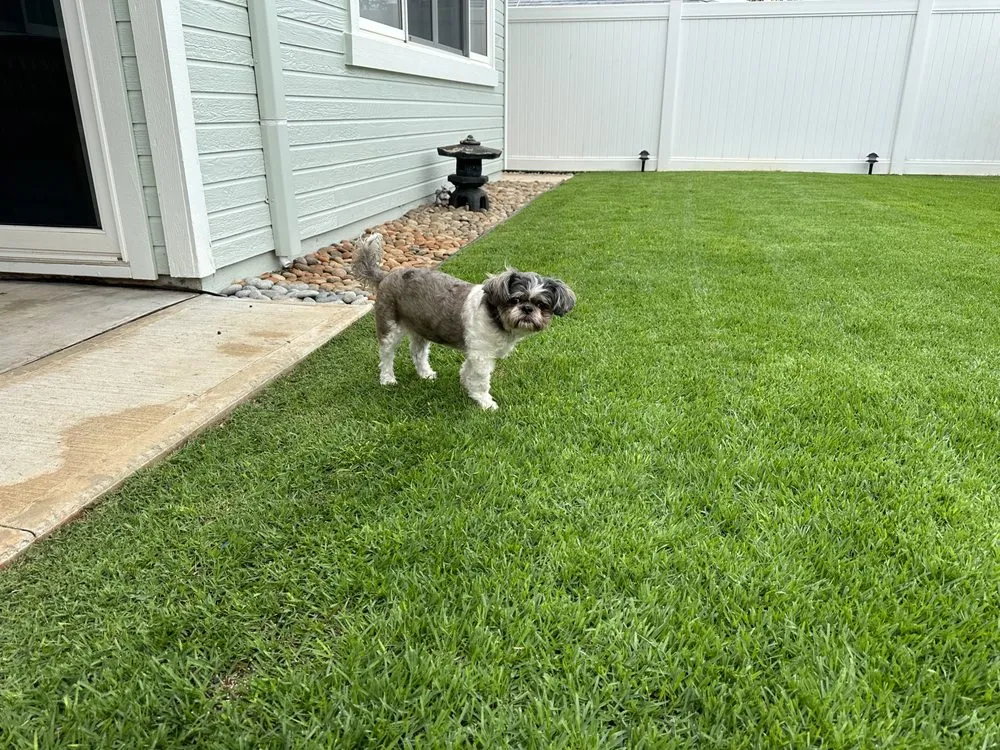 Reliable garden landscaping for year-round maintenance across Waimanalo, HI - Aloha 'Aina Landscaping