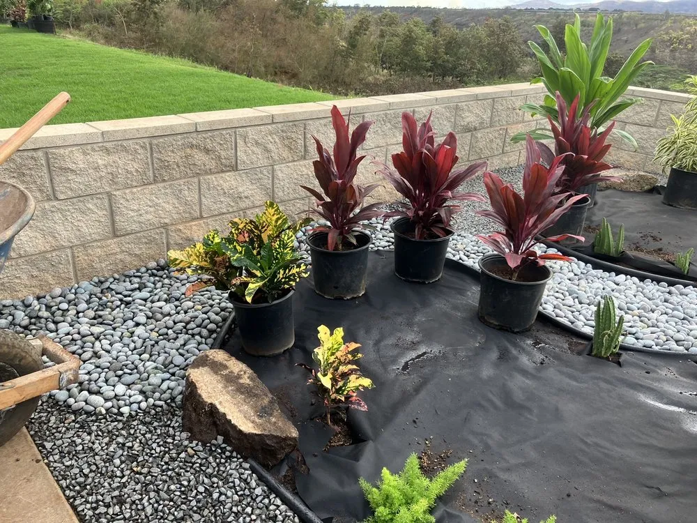 Professional yard cleanup service for residential properties across Waimanalo, HI - Aloha 'Aina Landscaping