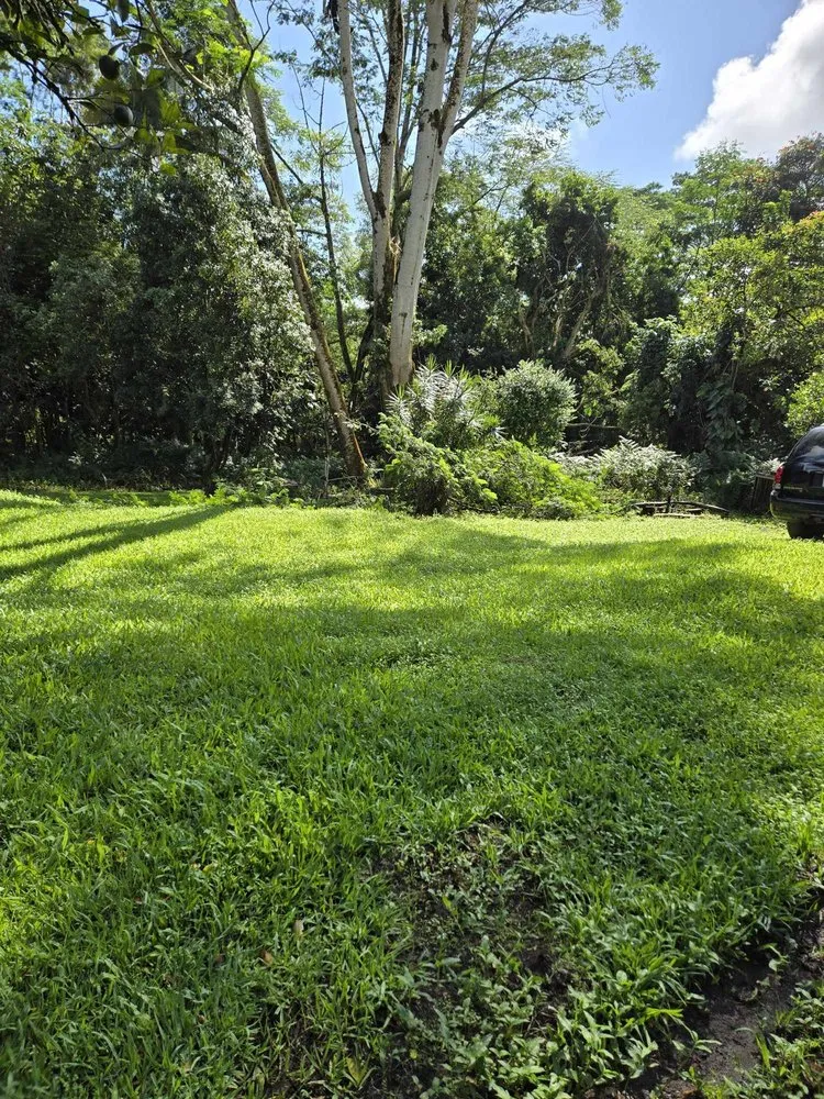 Affordable lawn mowing service experts serving Keaau, HI - Aloha Aina Tree Service