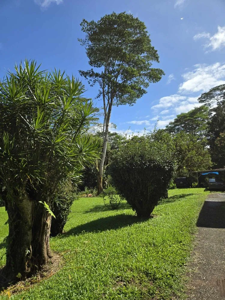 Local landscape design for year-round maintenance across Keaau, HI - Aloha Aina Tree Service