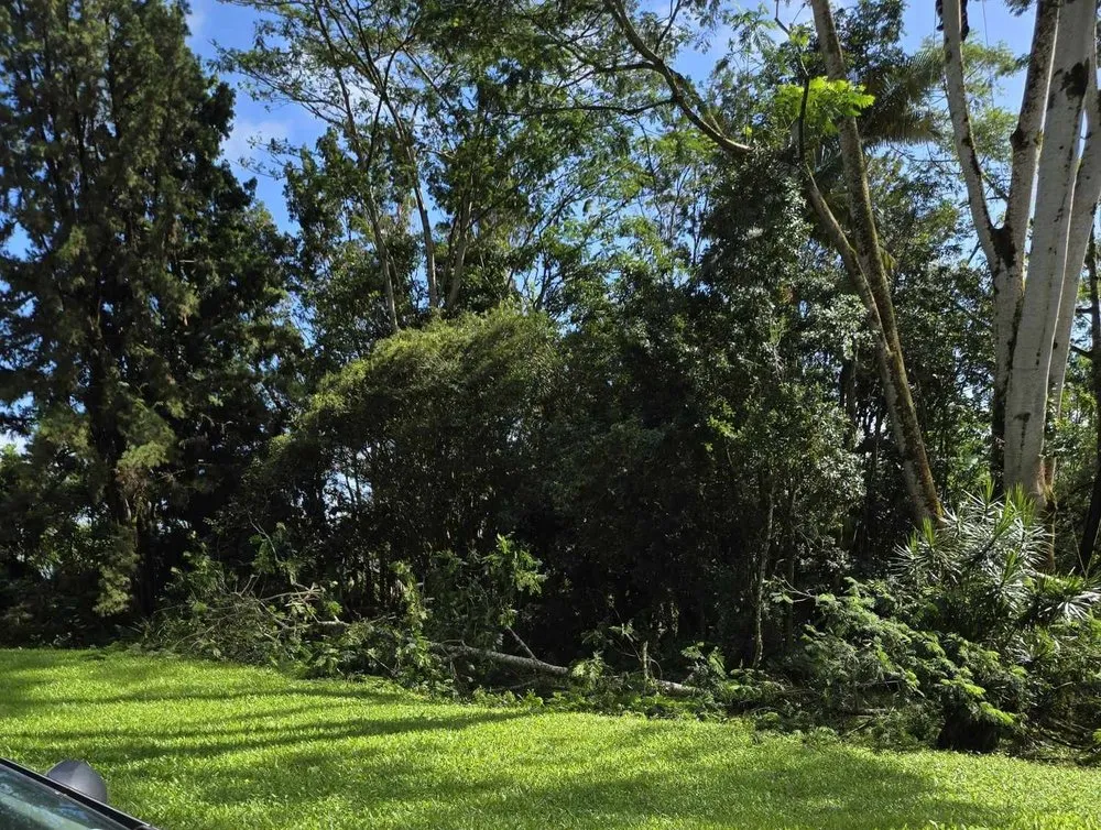 Trusted lawn mowing service in Keaau, HI by Aloha Aina Tree Service