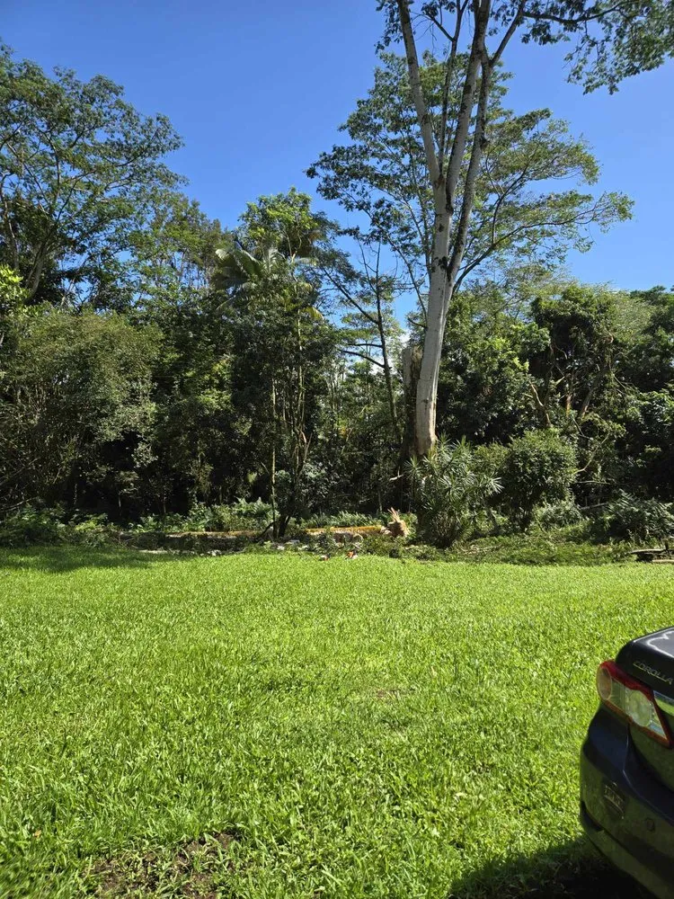Professional lawn care service in Keaau, HI - Aloha Aina Tree Service