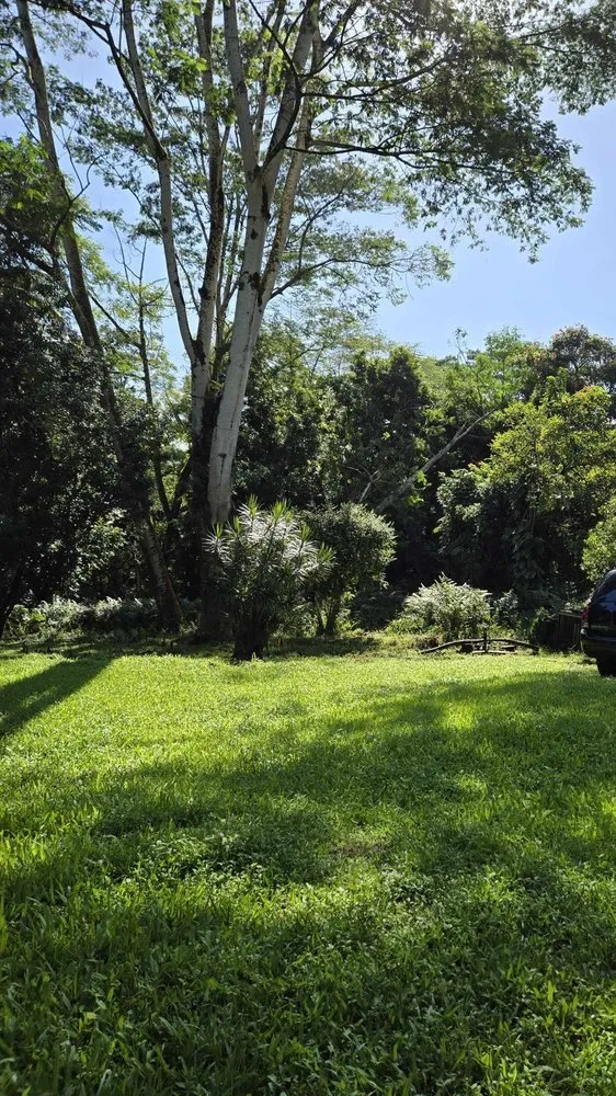 Custom landscape installation experts serving Keaau, HI - Aloha Aina Tree Service