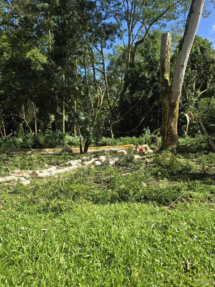 Professional garden landscaping for residential properties in Keaau, HI by Aloha Aina Tree Service