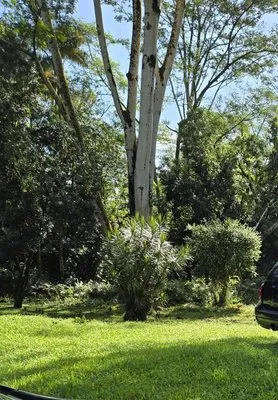 Aloha Aina Tree Service