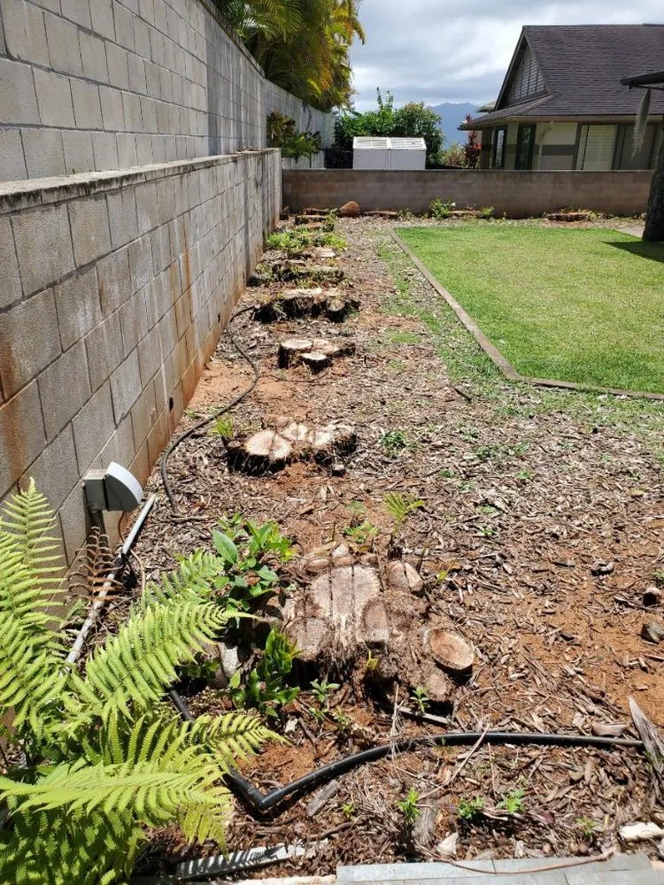 Reliable landscaping services for homes across Waipahu, HI - Aloha Ainascape