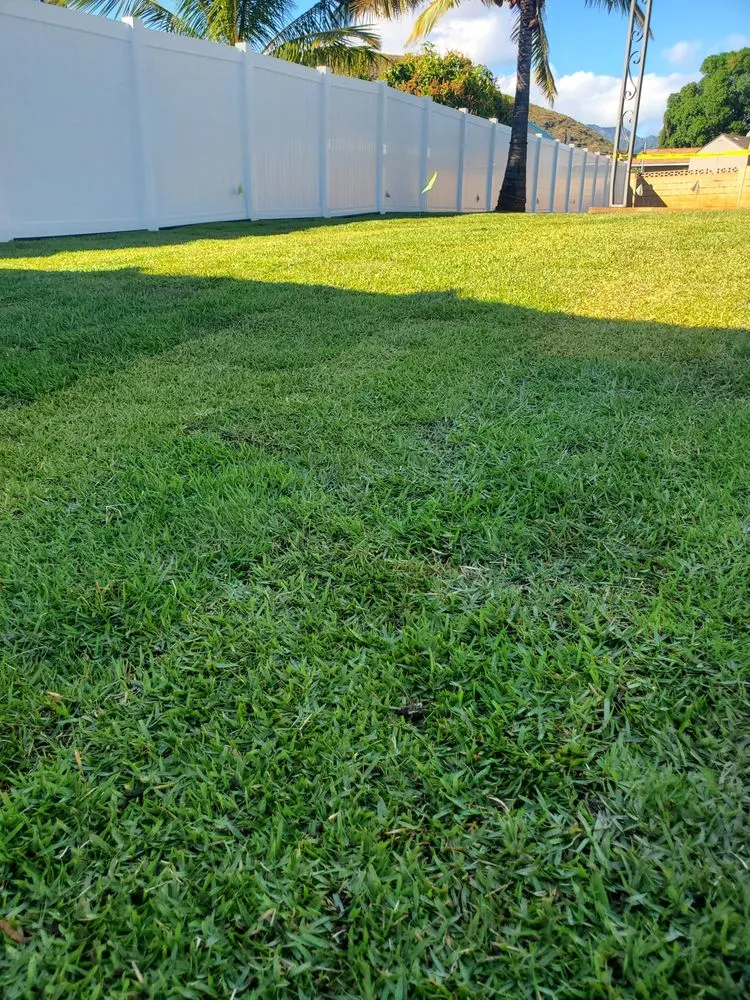 Local landscape design experts serving Waipahu, HI - Aloha Ainascape