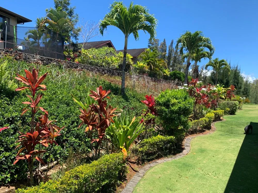Custom lawn care service in Waipahu, HI - Aloha Ainascape