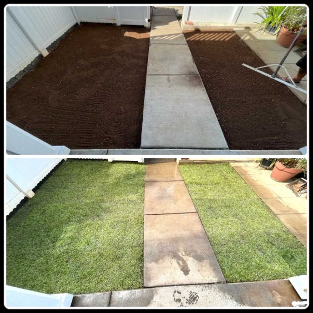 Affordable lawn mowing service in Waipahu, HI - Aloha Ainascape