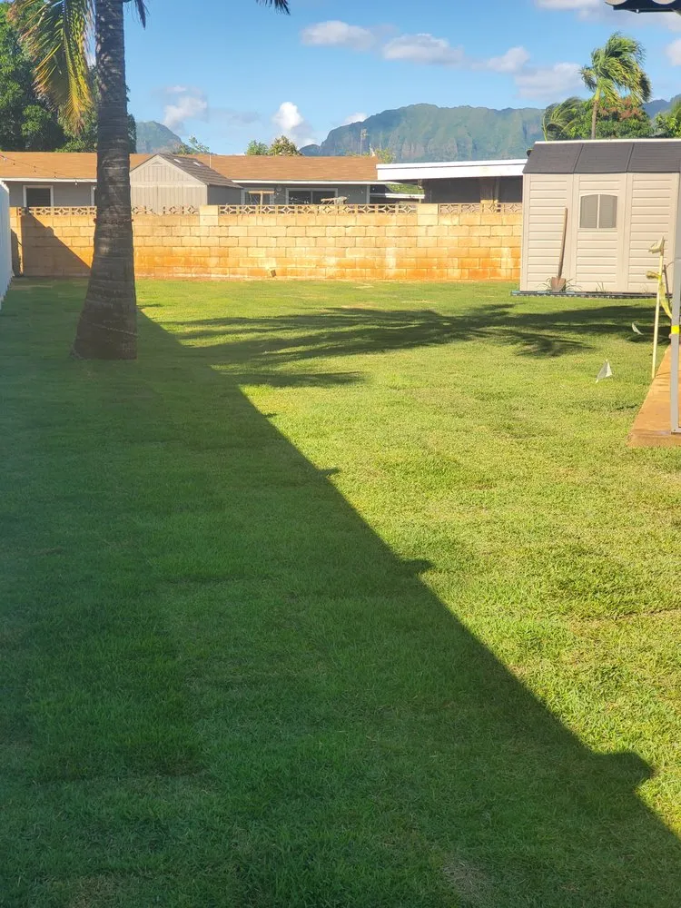 Professional yard cleanup service in Waipahu, HI - Aloha Ainascape
