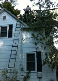 Professional landscaping services experts serving North Salem, NY - Aloha Arborist