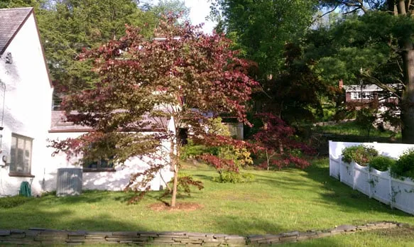 Expert landscape installation experts serving North Salem, NY - Aloha Arborist