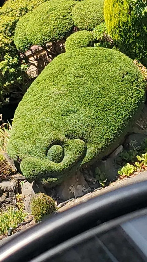 Top-rated outdoor landscaping experts serving Seattle, WA - Aloha Evergreen