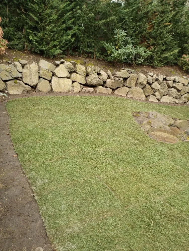 Professional lawn care service experts serving Seattle, WA - Aloha Evergreen