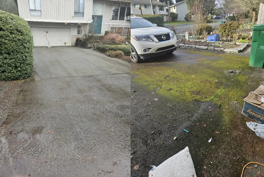 Reliable landscape design for homes in Seattle, WA by Aloha Evergreen