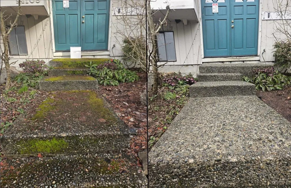 Expert outdoor landscaping in Seattle, WA by Aloha Evergreen