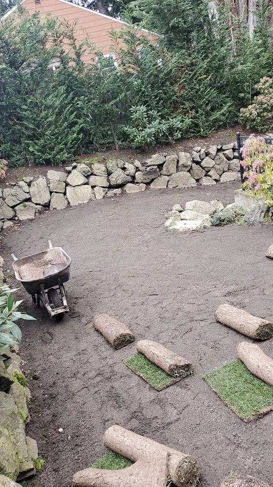 Expert lawn care service experts serving Seattle, WA - Aloha Evergreen