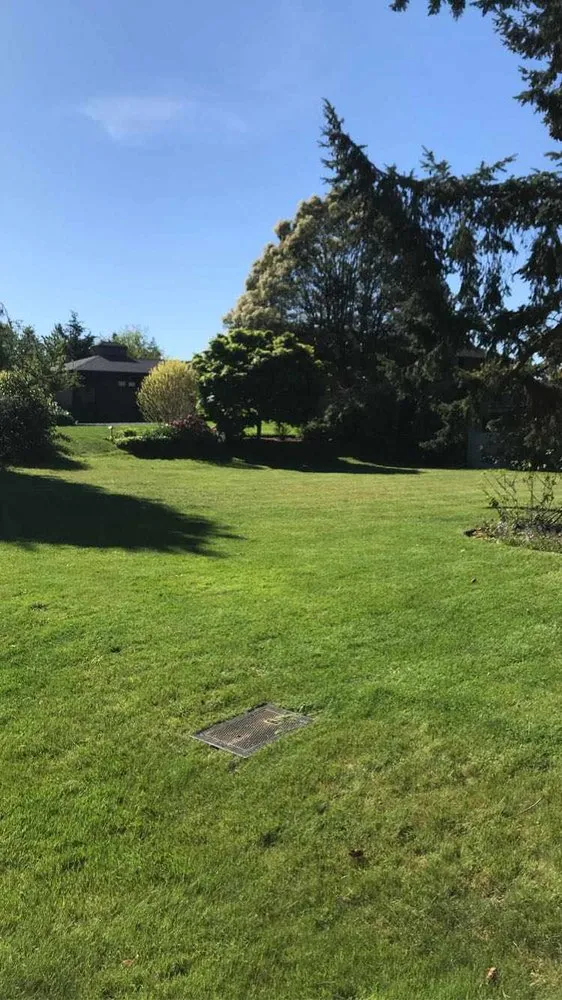 Top-rated landscaping services in Seattle, WA by Aloha Evergreen