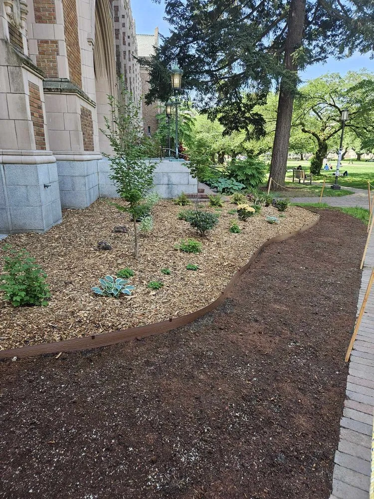 Reliable landscaping services in Seattle, WA by Aloha Evergreen