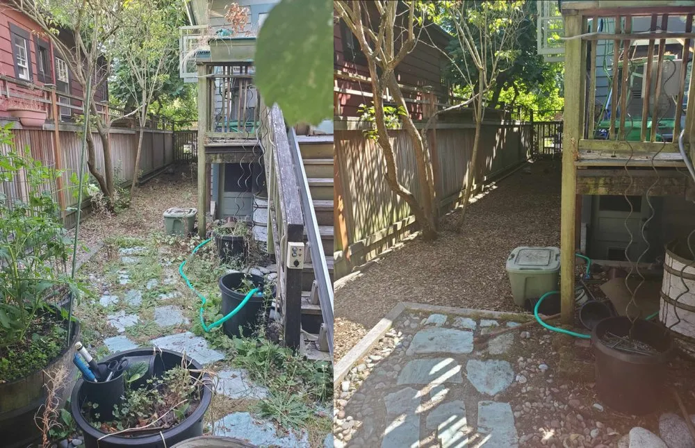 Local yard cleanup service for residential properties across Seattle, WA - Aloha Evergreen