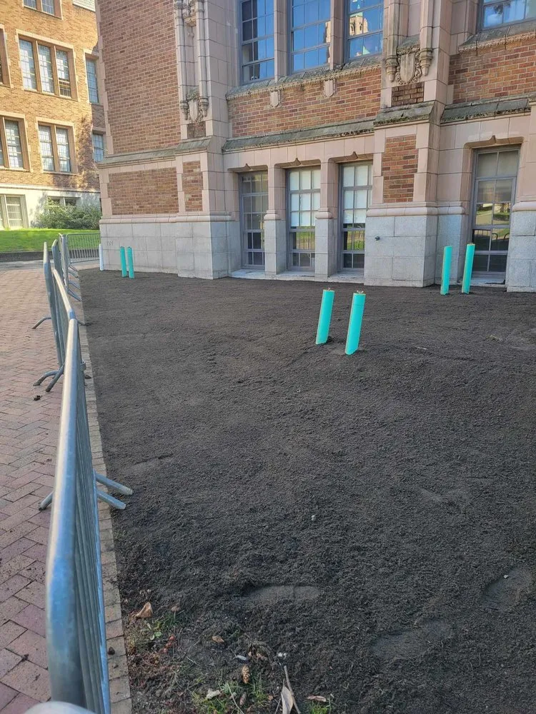 Top-rated landscape installation in Seattle, WA by Aloha Evergreen