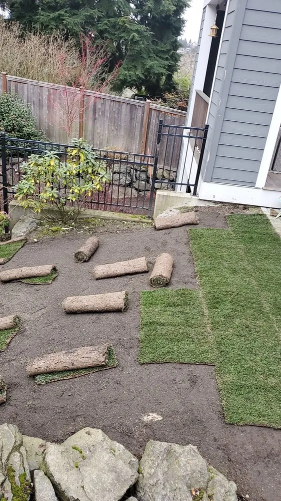 Affordable lawn care service in Seattle, WA by Aloha Evergreen
