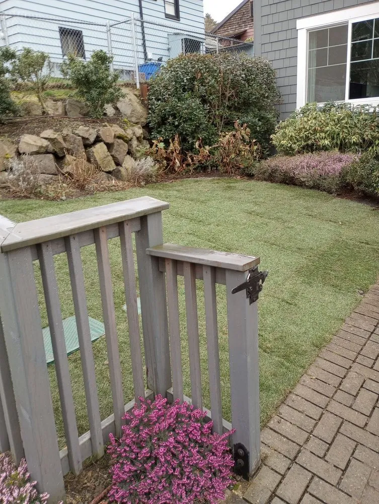 Affordable outdoor landscaping near you across Seattle, WA - Aloha Evergreen