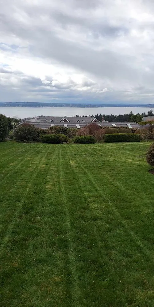 Reliable landscape installation for year-round maintenance across Seattle, WA - Aloha Evergreen