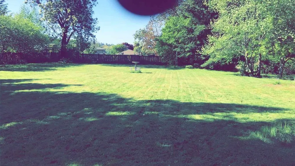 Local landscape installation for year-round maintenance across Seattle, WA - Aloha Evergreen