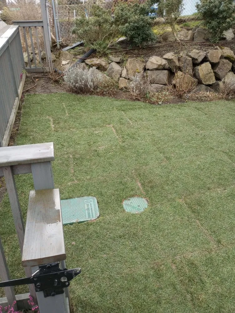 Custom landscaping services in Seattle, WA by Aloha Evergreen