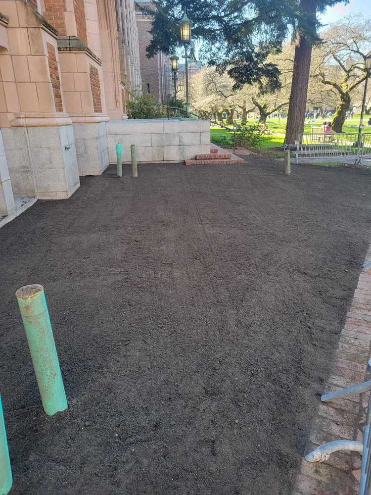 Local lawn mowing service in Seattle, WA by Aloha Evergreen