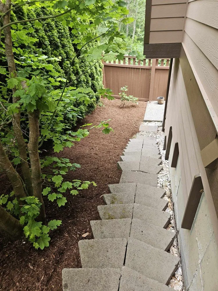 Top-rated yard maintenance in Seattle, WA - Aloha Evergreen